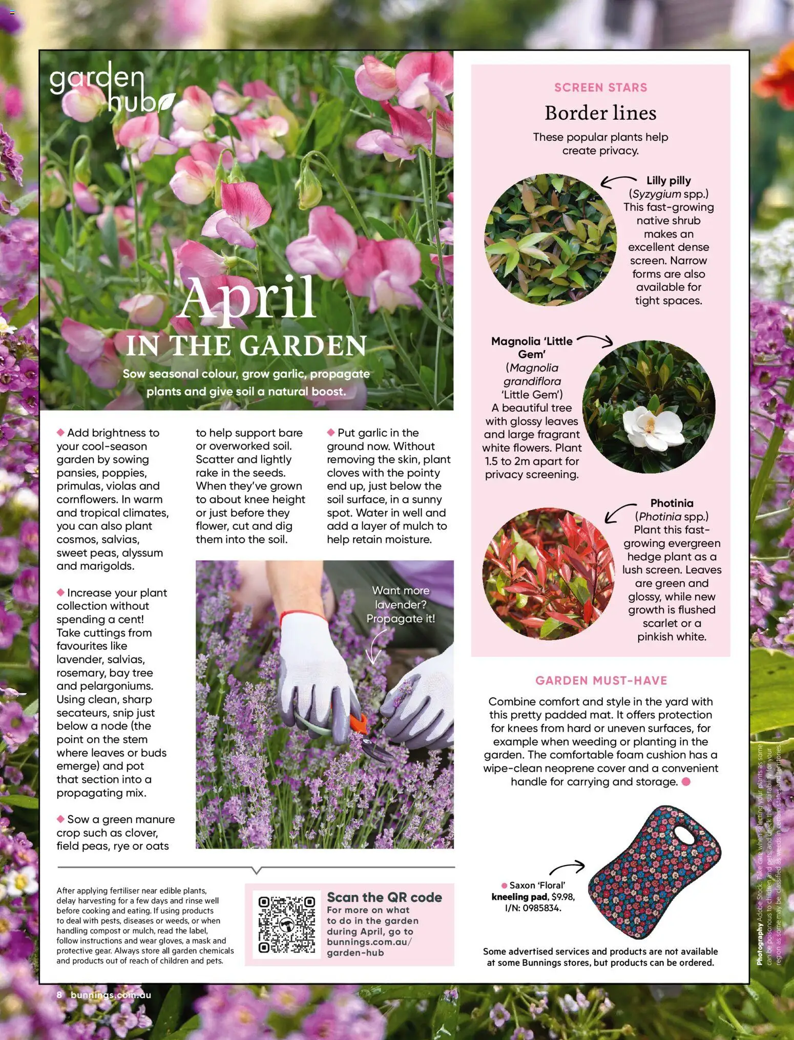 Bunnings Warehouse catalogue - valid from 01.04.2026 | Page: 8 | Products: Cushion, Native, Plant, Garlic