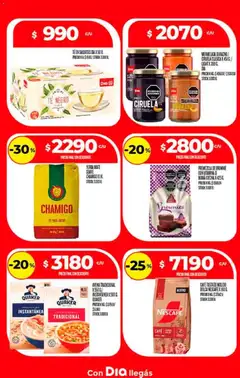 Vista previa Supermercado DIA Ofertas válido desde el 02.01.2026 | Página: 13