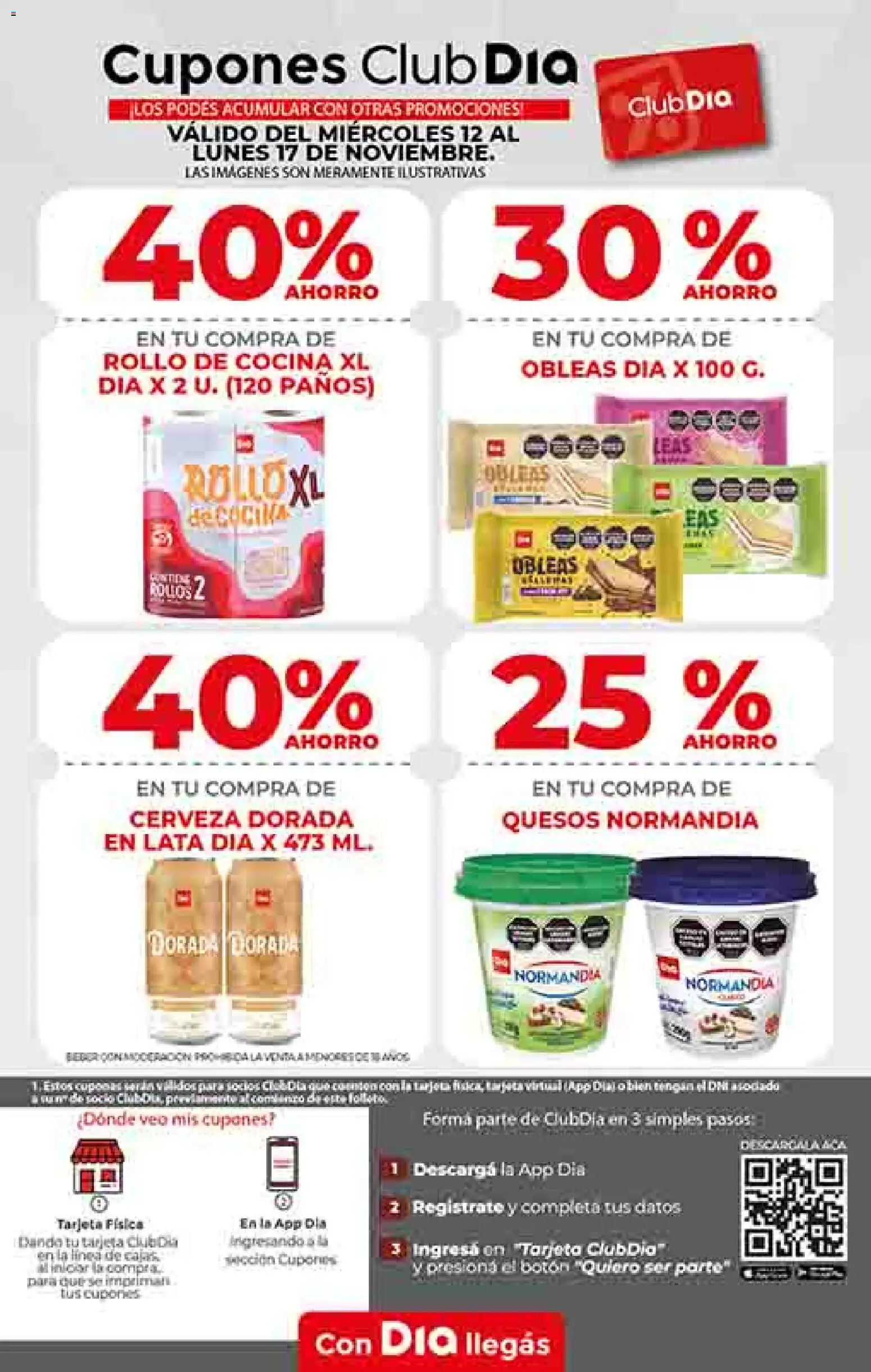 Dia - Ofertas - Salta y Jujuy │ válido desde el 12.11.2025 | Página: 9 | Productos: Cocina, Cerveza
