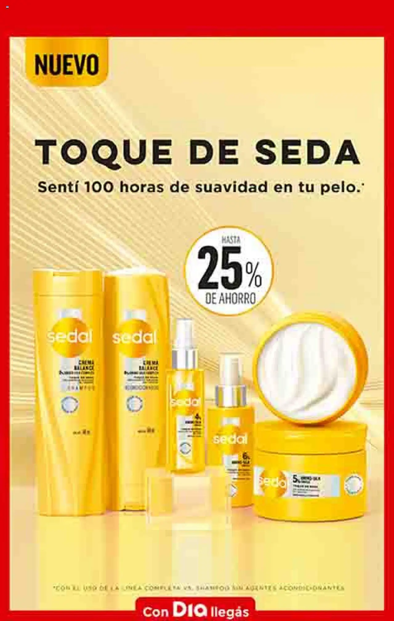 Dia - Ofertas - Salta y Jujuy │ válido desde el 17.09.2025 | Página: 14