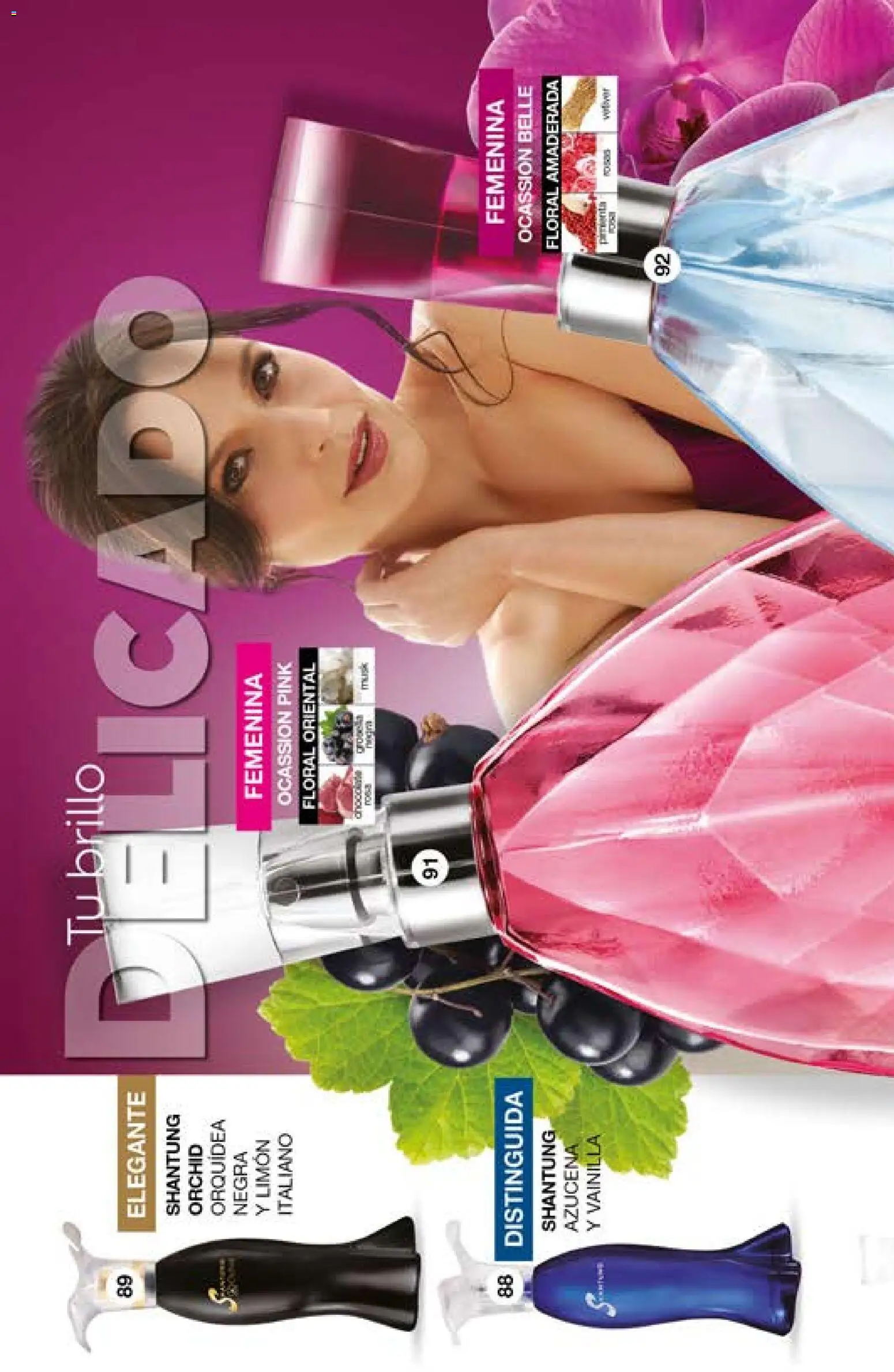 Nuevas ofertas de Fuller válidas en toda la República Mexicana desde el 29.04.2026. ¡Encuentra las mejores ofertas en Fuller campaña 2 2026! | Página: 40 | Productos: Limón, Brillo