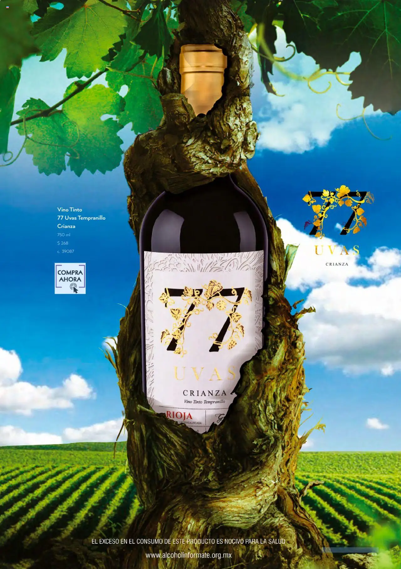 Nuevas ofertas de Bodegas Alianza válidas en toda la República Mexicana desde el 01.10.2025. ¡Encuentra las mejores ofertas en Bodegas Alianza - Catálogo Cava Morada! | Página: 27 | Productos: Vino
