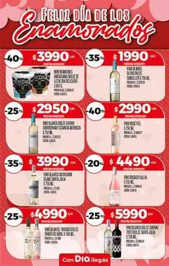Vista previa Supermercado DIA Ofertas válido desde el 11.02.2026 | Página: 9