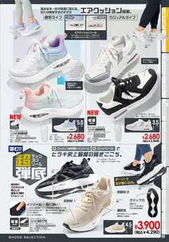 13.02.2026から有効なオファーを含む ヒラキ - チラシ | ページ: 29