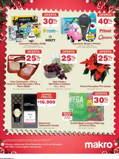 Makro - Feria Navideña -  Vista previa de la revista de la tienda Makro valido desde el 28.11.2025 | Página: 2