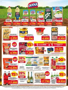 Ara - Ahorra con precios bajos y ofertas en la canasta familiar -  Vista previa de la revista de la tienda Ara valido desde el 11.12.2023 | Página: 2