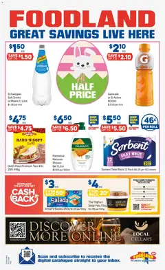 Preview of Foodland catalogue  - valid from 18.03.2026 | Page: 40