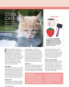 Preview of Catalogue Bunnings Warehouse February - valid from 01.02.2026 | Page: 56