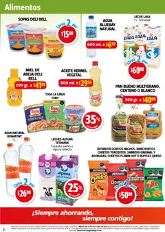 Vista previa de Farmacia Guadalajara - Catálogo, nuevo folleto de la tienda, válido en México a partir del 15.10.2025 | Página: 2 | Productos: Pollo, Agua, Vitaminas, Sobre