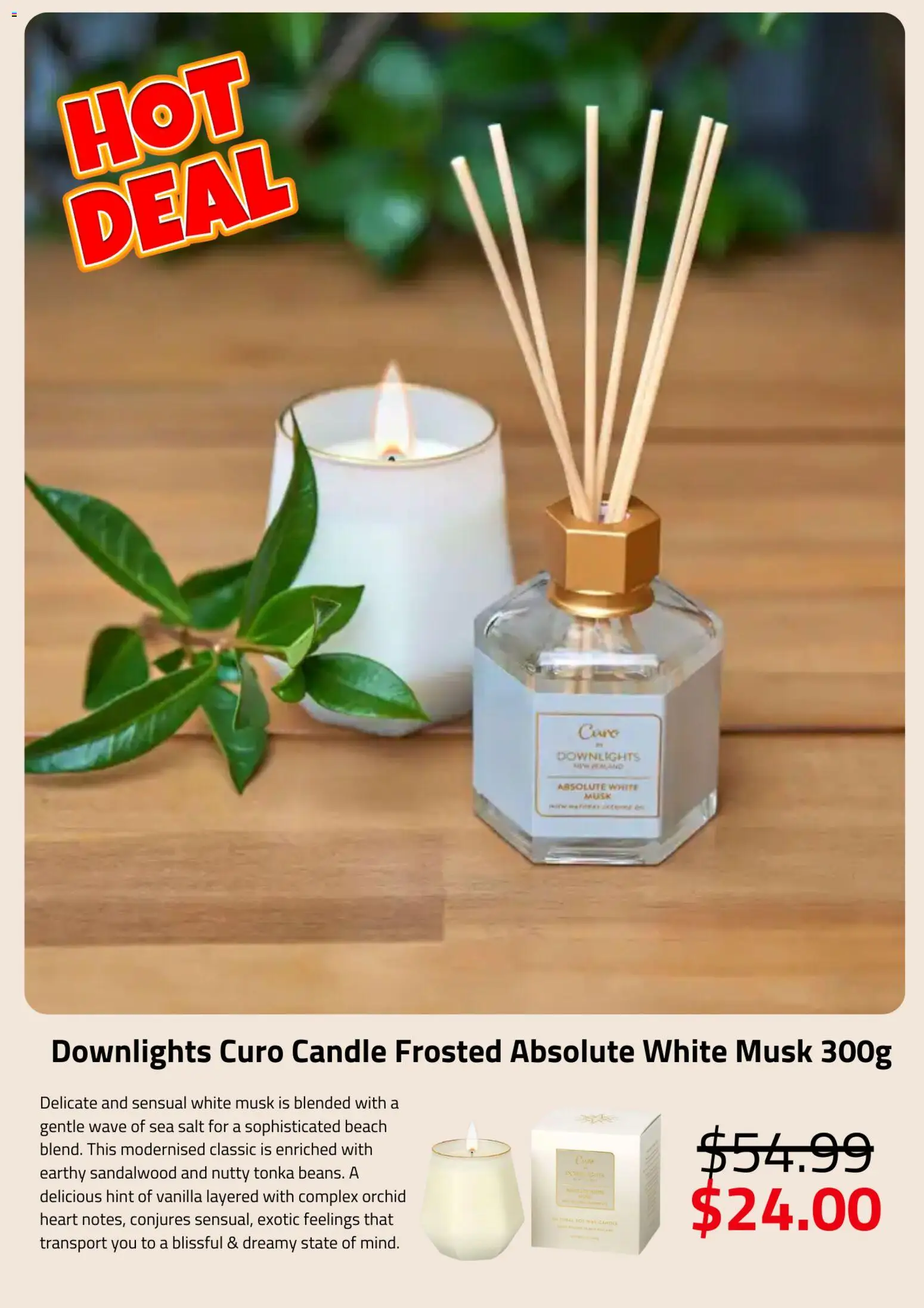 Briscoes catalogue from 26.01.2026 | Page: 7