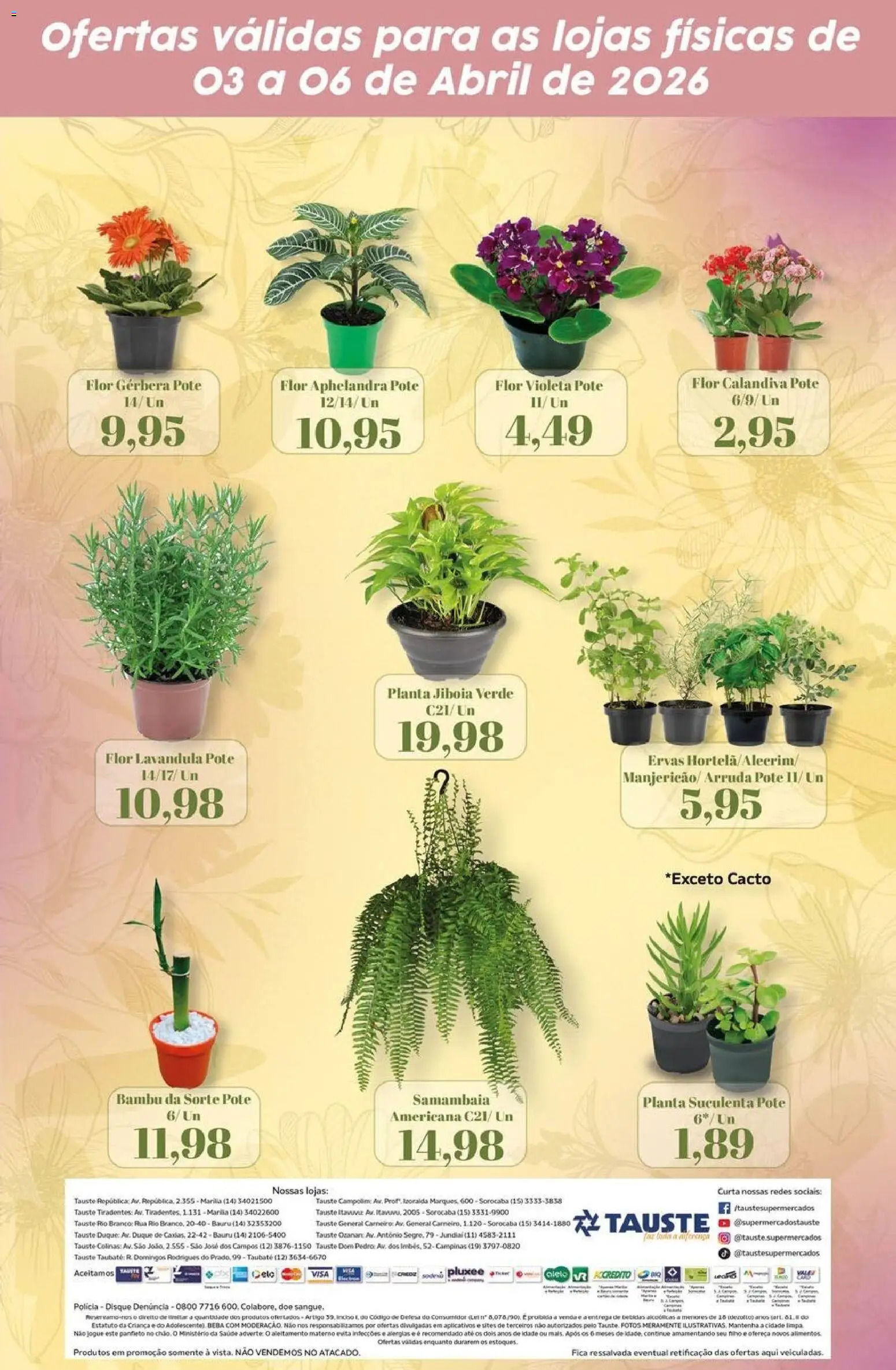 Tauste Folheto - válido de 03.04.2026 | Página: 2