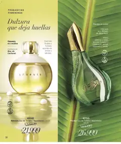 Vista previa Violetta - Violetta Cosméticos válido desde el 18.03.2026 | Página: 38 | Productos: Eau de toilette, Esencias