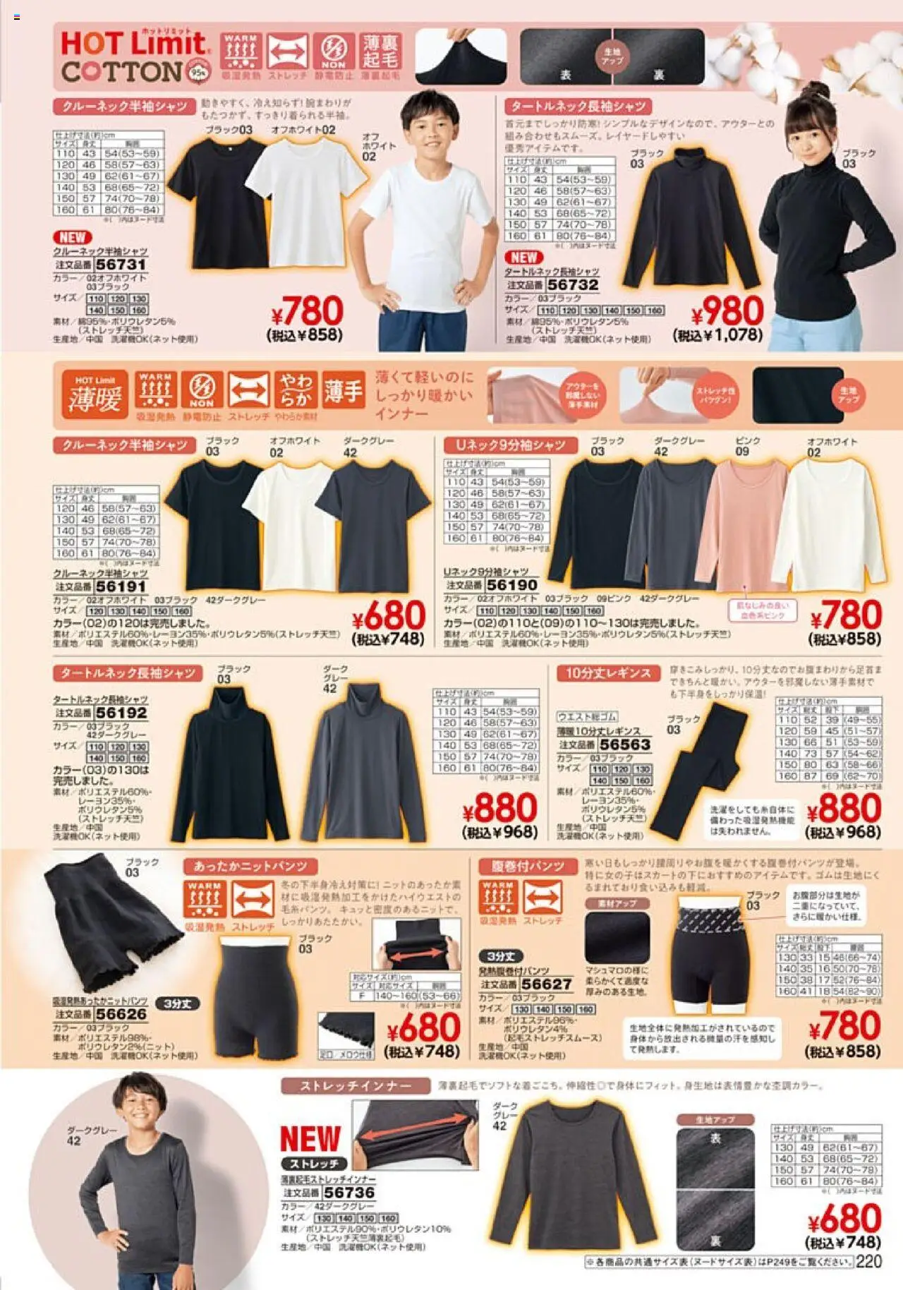 {H1} | ページ: 221