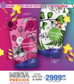 Vista previa Millanel - Catálogo válido desde el 08.12.2025 | Página: 124