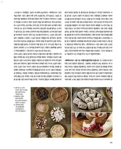  | 페이지: 159 | 상품: 햄, 야채