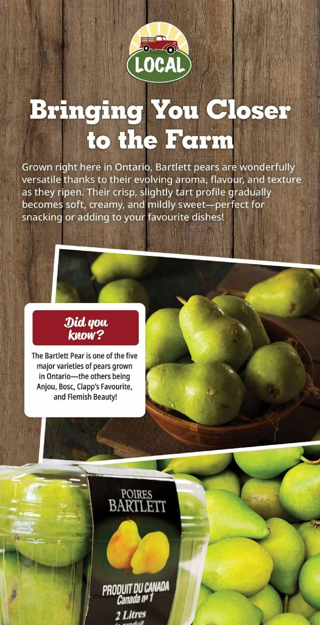 Farm Boy flyer valid from 18.09.2025 | Page: 6
