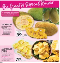 Preview of Fortinos weekly flyer / circulaire from shop Fortinos valid from 29.01.2026 | Page: 13