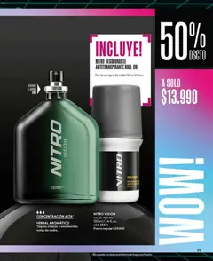 Catálogo CyZone Campaña 1 válido desde el 01.01.2026 | Página: 95