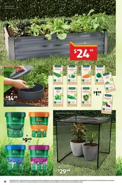 Preview of Catalogue Aldi - valid from 11.02.2026 | Page: 10