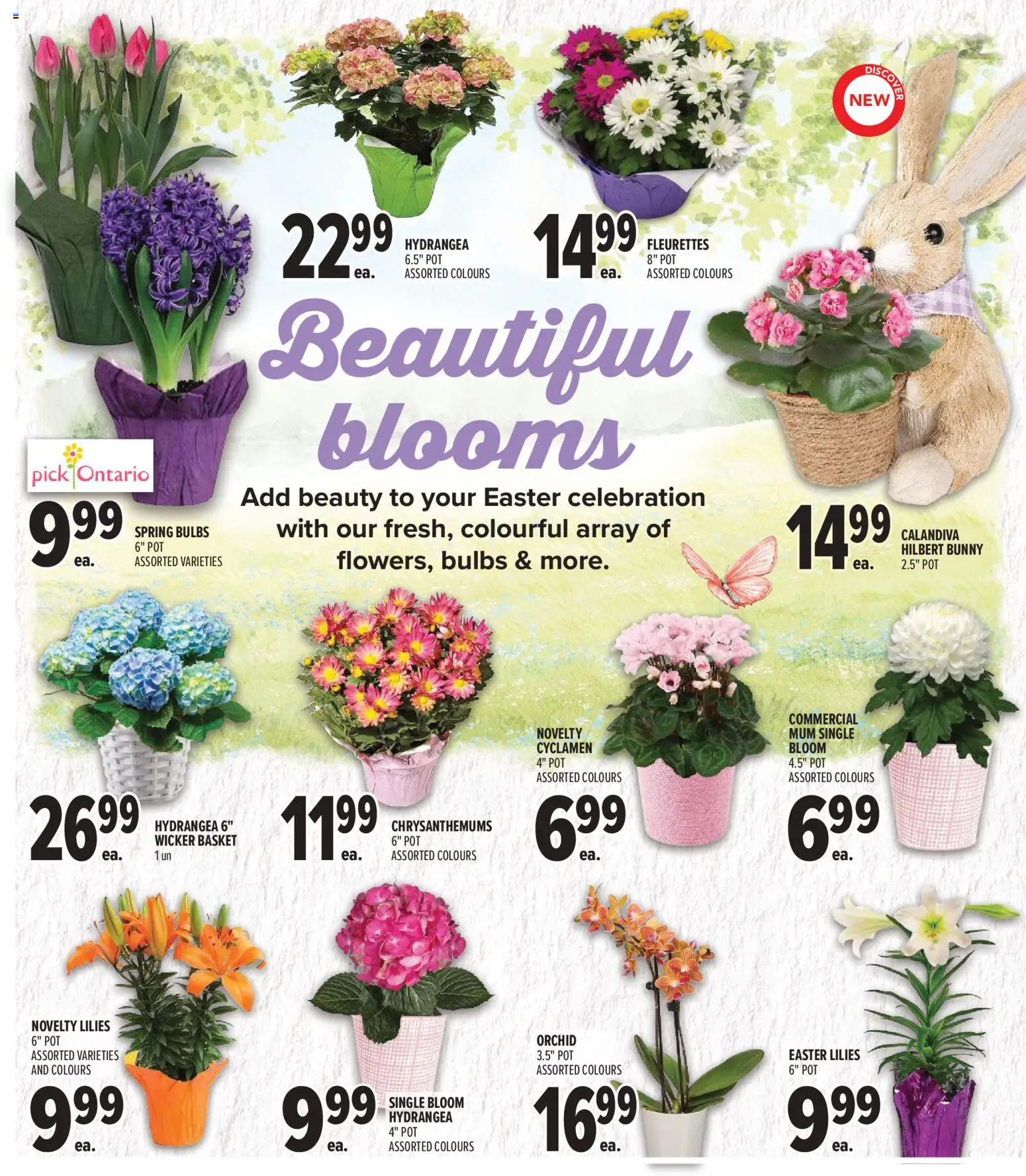 Metro flyer valid from 26.03.2026 | Page: 8 | Products: Basket