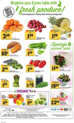 Preview of Food Lion weekly ads valid from 01.04.2026 | Page: 3 | Products: Mandarins, Table, Greens, Bag