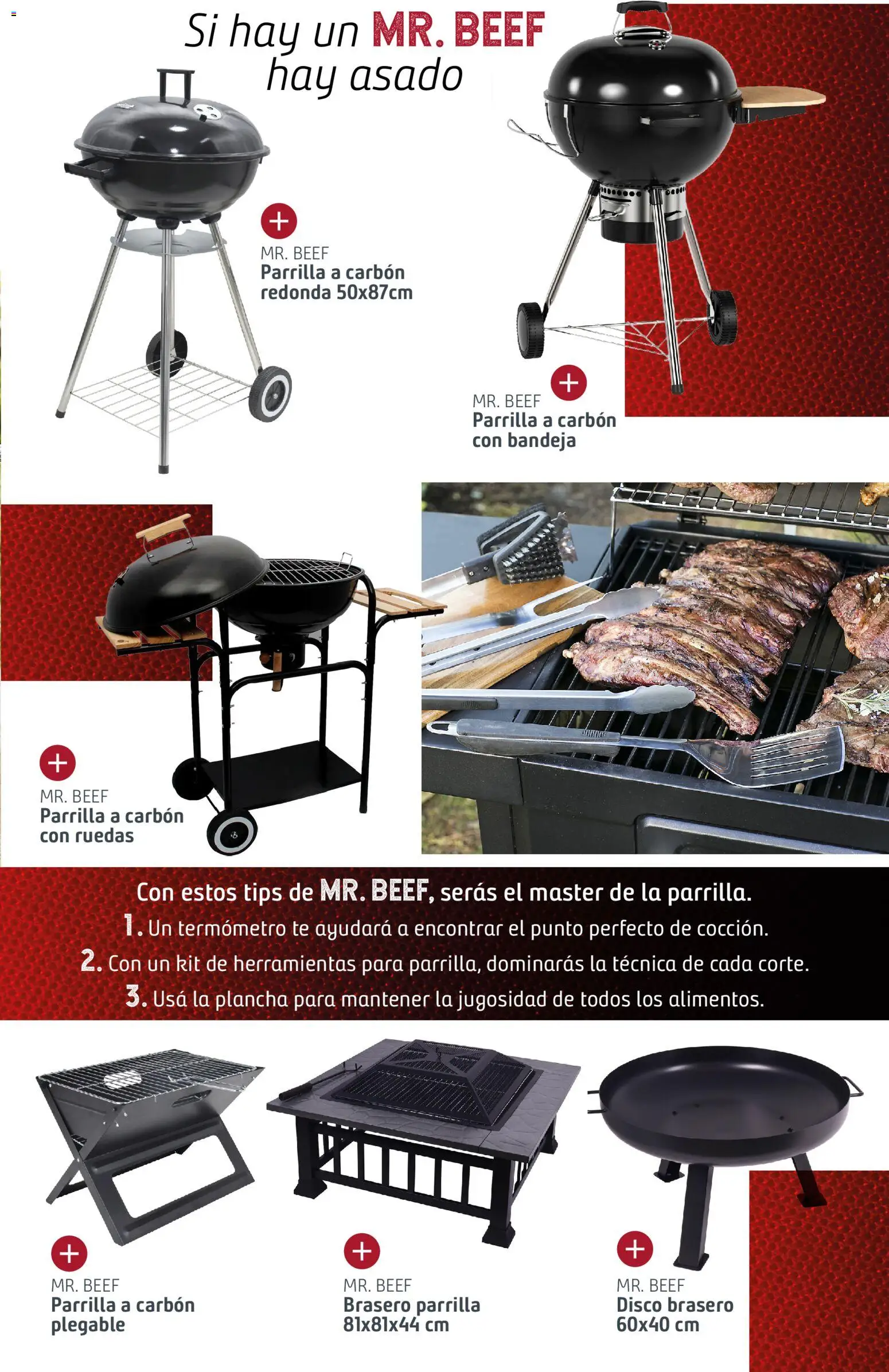 Sodimac catálogo │ válido desde el 18.12.2025 | Página: 21 | Productos: Disco, Parrilla, Termómetro, Bandeja