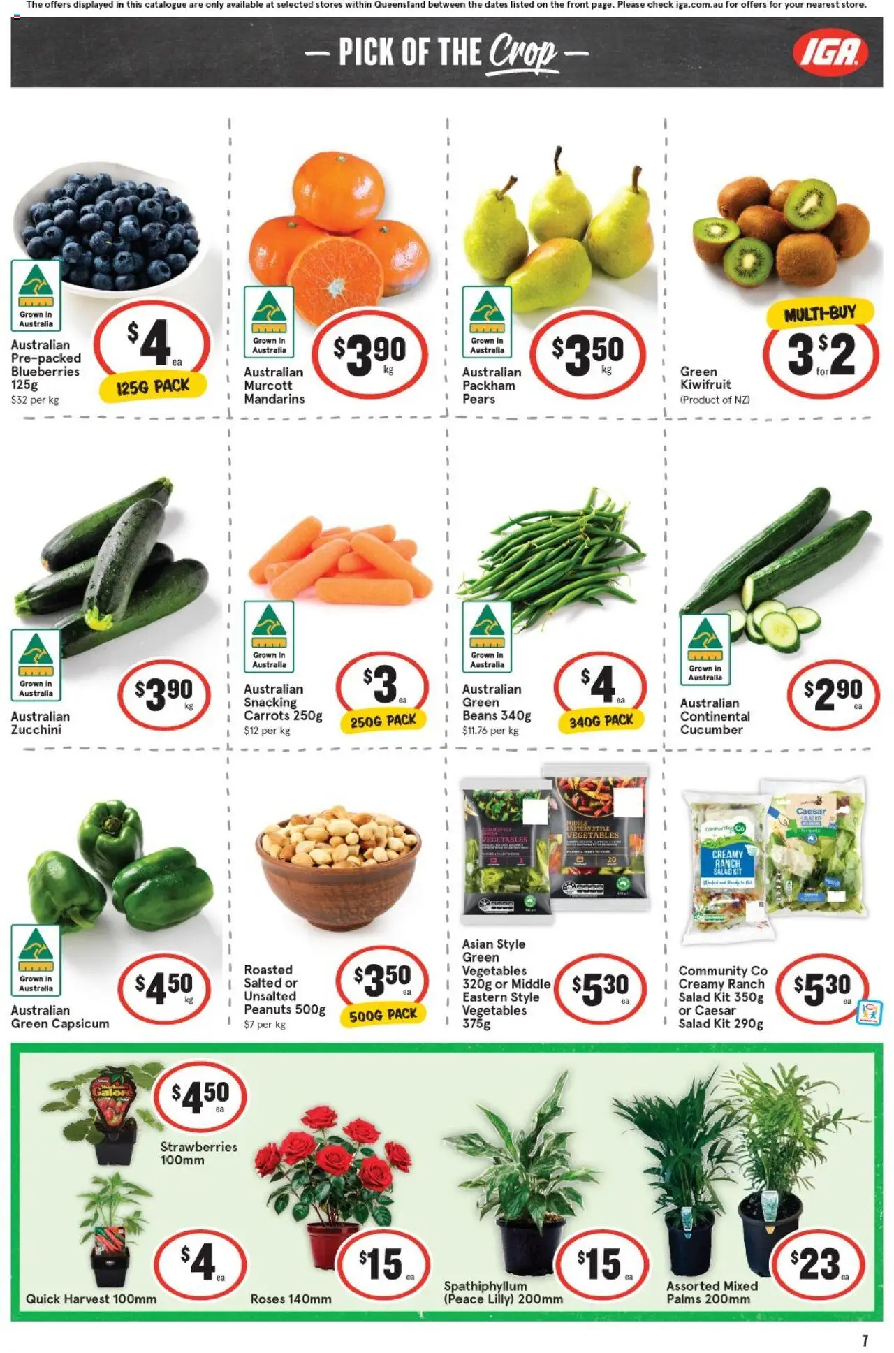 IGA catalogue - valid from 03.09.2025 | Page: 7 | Products: Pepsi, Sugar, Lemon