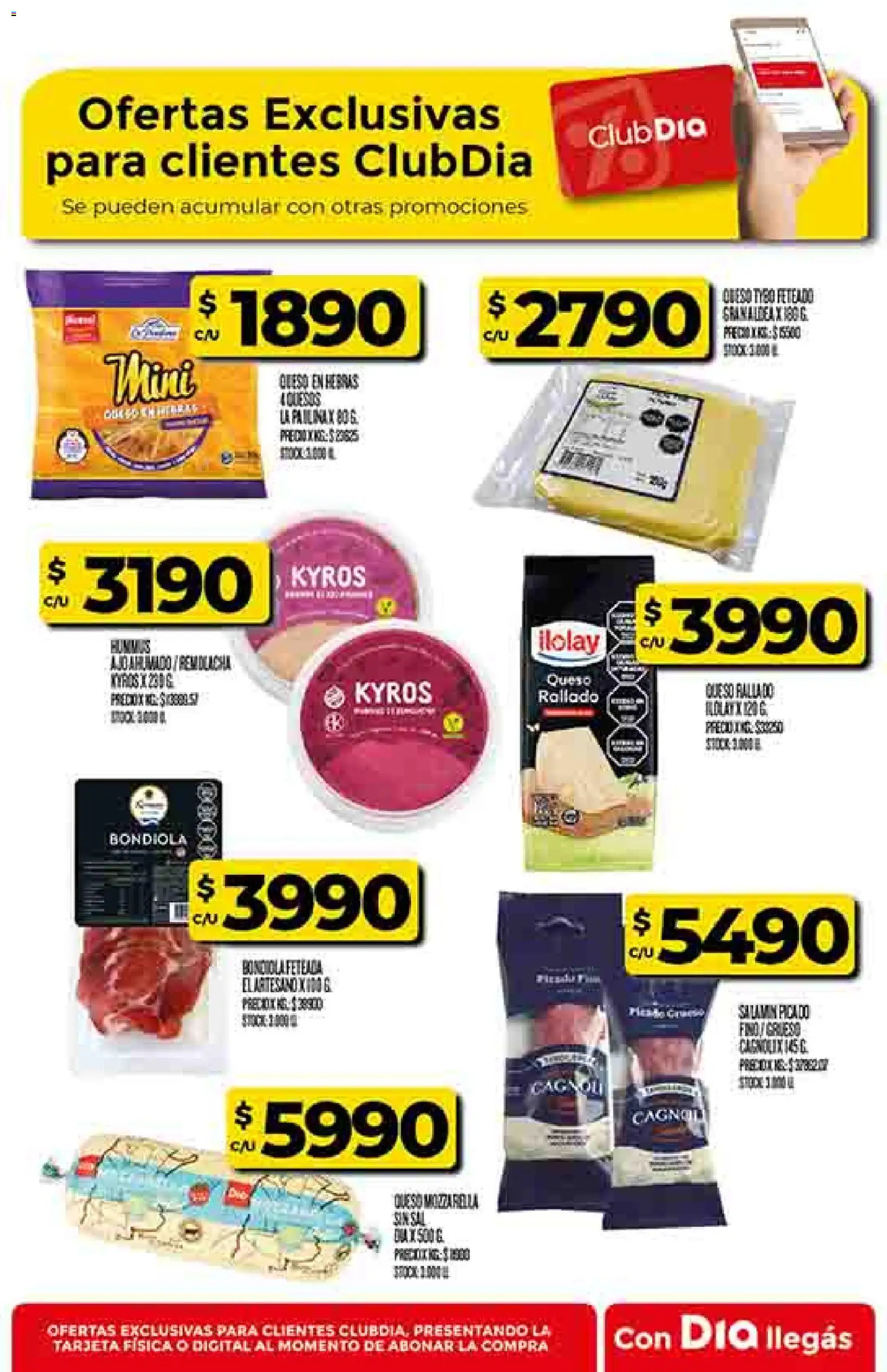 Dia - Ofertas │ válido desde el 26.12.2025 | Página: 46 | Productos: Remolacha, Ajo, Queso