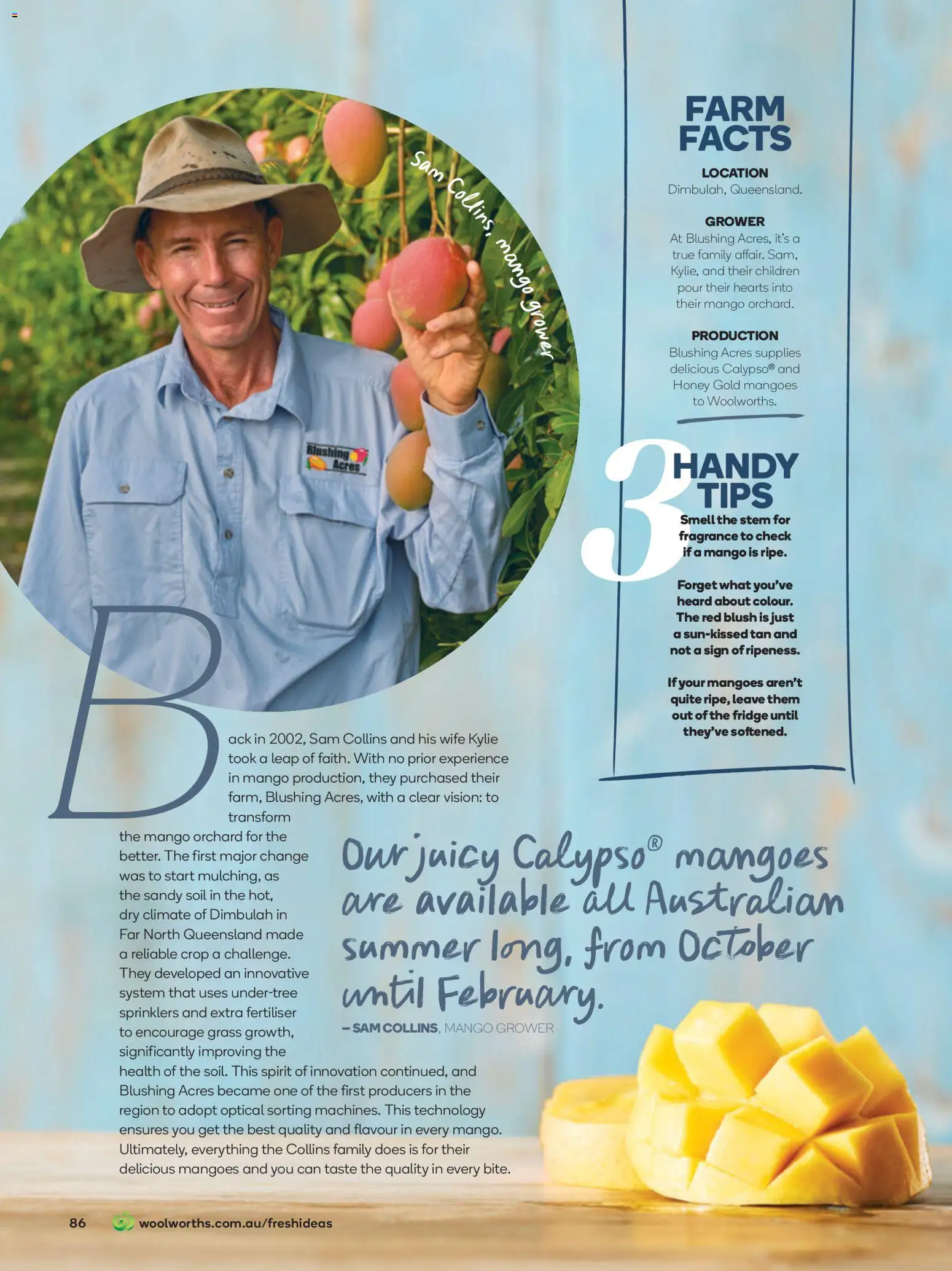 Woolworths catalogue - valid from 01.11.2025 | Page: 86 | Products: Grass, Honey, Mango, Fridge