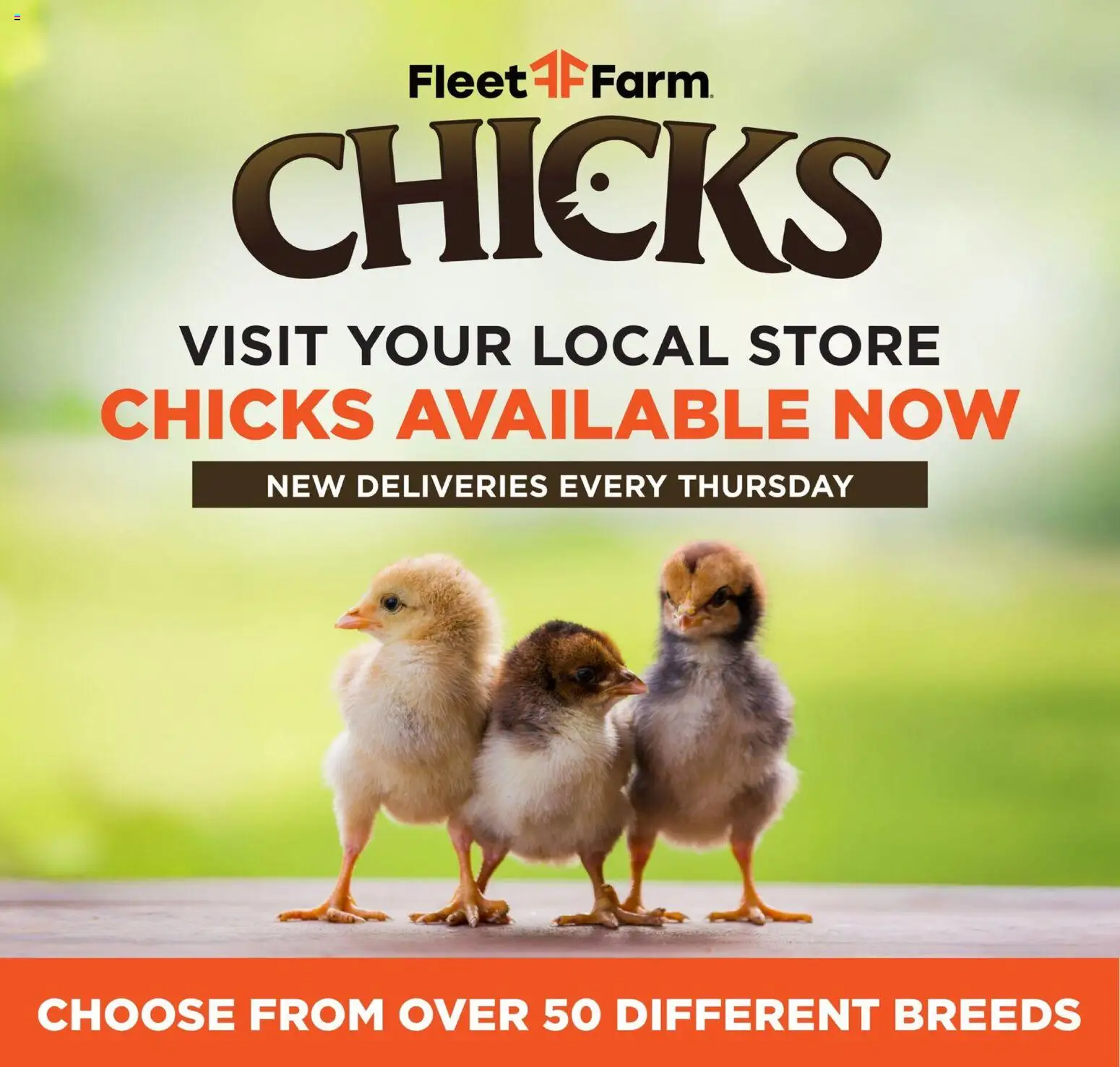 Mills Fleet Farm Weekly Ad - valid from 09.03.2026 | Page: 4