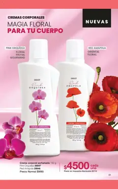 Vista previa Gigot catálogo válido desde el 01.11.2025 | Página: 67 | Productos: Crema