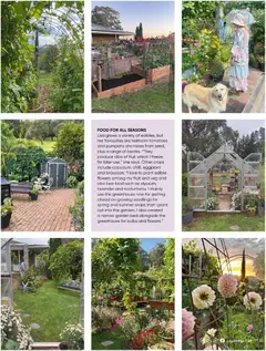 Preview of Catalogue Bunnings Warehouse January - valid from 01.01.2026 | Page: 29 | Products: Plant, Tomatoes, Greenhouse, Bed