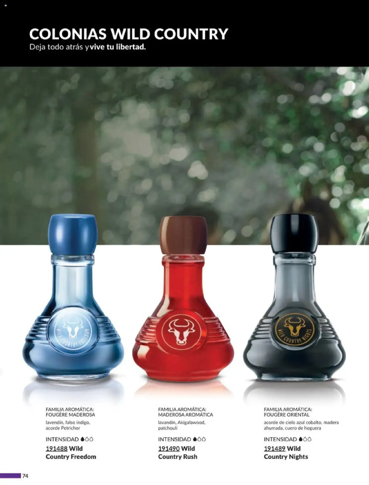 Nuevas ofertas de AVON válidas en toda la República Mexicana desde el 20.12.2025. ¡Encuentra las mejores ofertas en AVON campaña 1 2026! | Página: 80