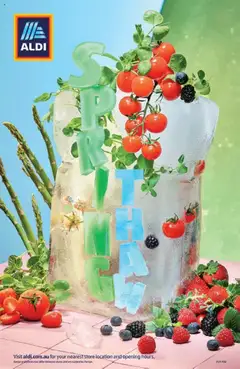 Preview of Aldi Here for the Spring - valid from 17.09.2025
