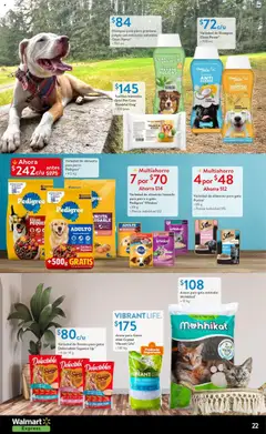 Nuevas ofertas de Walmart Express válidas en toda la República Mexicana desde el 24.07.2025. ¡Encuentra las mejores ofertas en Walmart Express folleto! | Página: 22 | Productos: Avena, Brillo, Zanahoria, Acondicionador