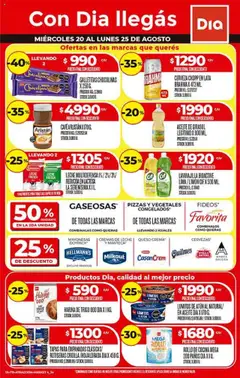 Vista previa Supermercado DIA Ofertas válido desde el 20.08.2025
