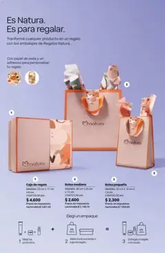 Vista previa Catálogo Natura Ciclo 1/2026 válido desde el 04.12.2025 | Página: 13