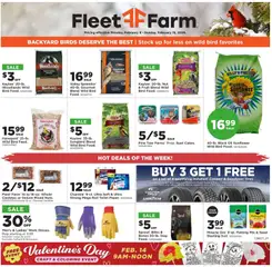 Preview of Mills Fleet Farm weekly ads valid from 09.02.2026