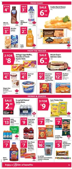 Co-op Food flyer valid from 31.07.2025 | Page: 9 | Products: Toaster, Cheese, Coffee, Beer