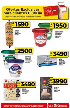 Vista previa Supermercado DIA Ofertas válido desde el 29.10.2025 | Página: 43