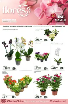 Master - Ofertas Flores - Pré-Visualização do folheto da loja Master, válido de 06.02.2026