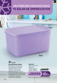 Tupperware Folleto │ válido desde el 11.08.2025 | Página: 67 | Productos: Flexible, Freezer, Té