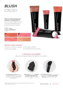 Vista previa de Mary Kay catálogo, nuevo folleto de la tienda, válido en México a partir del 01.01.2026 | Página: 49 | Productos: Esponja, Brillo, Maquillaje, Rubor