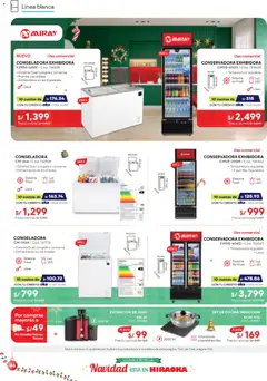 Vista previa de folleto Catálogo Hiraoka  de la Hiraoka válido desde 06.12.2025 | Página: 46