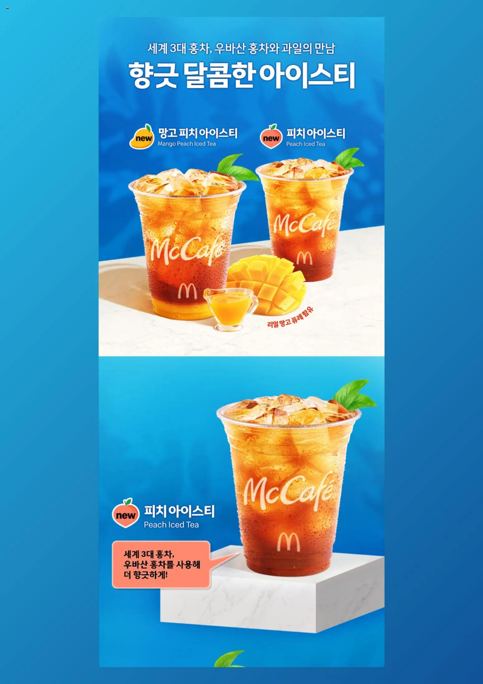  | 페이지: 5 | 상품: 망고