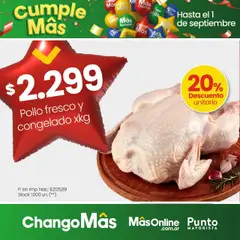 Vista previa Punto Mayorista catálogo válido desde el 31.08.2025