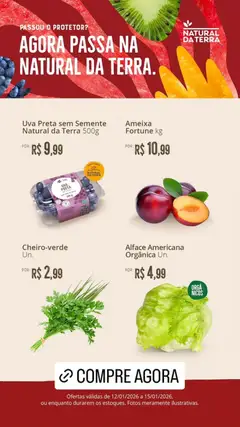 Natural da Terra - Ofertas da semana - Pré-Visualização do folheto da loja Natural da Terra, válido de 12.01.2026