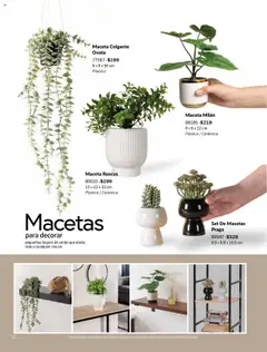 Nuevas ofertas de Vianney válidas en toda la República Mexicana desde el 05.09.2025. ¡Encuentra las mejores ofertas en Vianney - Catálogo - Biasi! | Página: 14 | Productos: Maceta