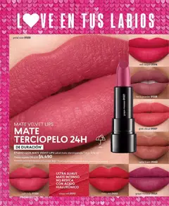 Catálogo CyZone Campaña 3 válido desde el 01.02.2026 | Página: 104 | Productos: Mousse, Mate, Labial